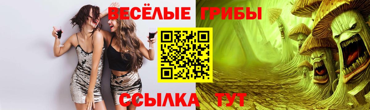 Псилоцибиновые грибы мухоморы  Галлюциногенные грибы прущие грибы  Мыски  Вход с VPN 